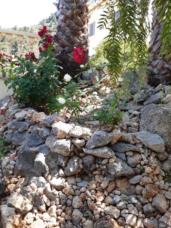 Casa Lennisa Bed & Breakfast Campell Exterior foto